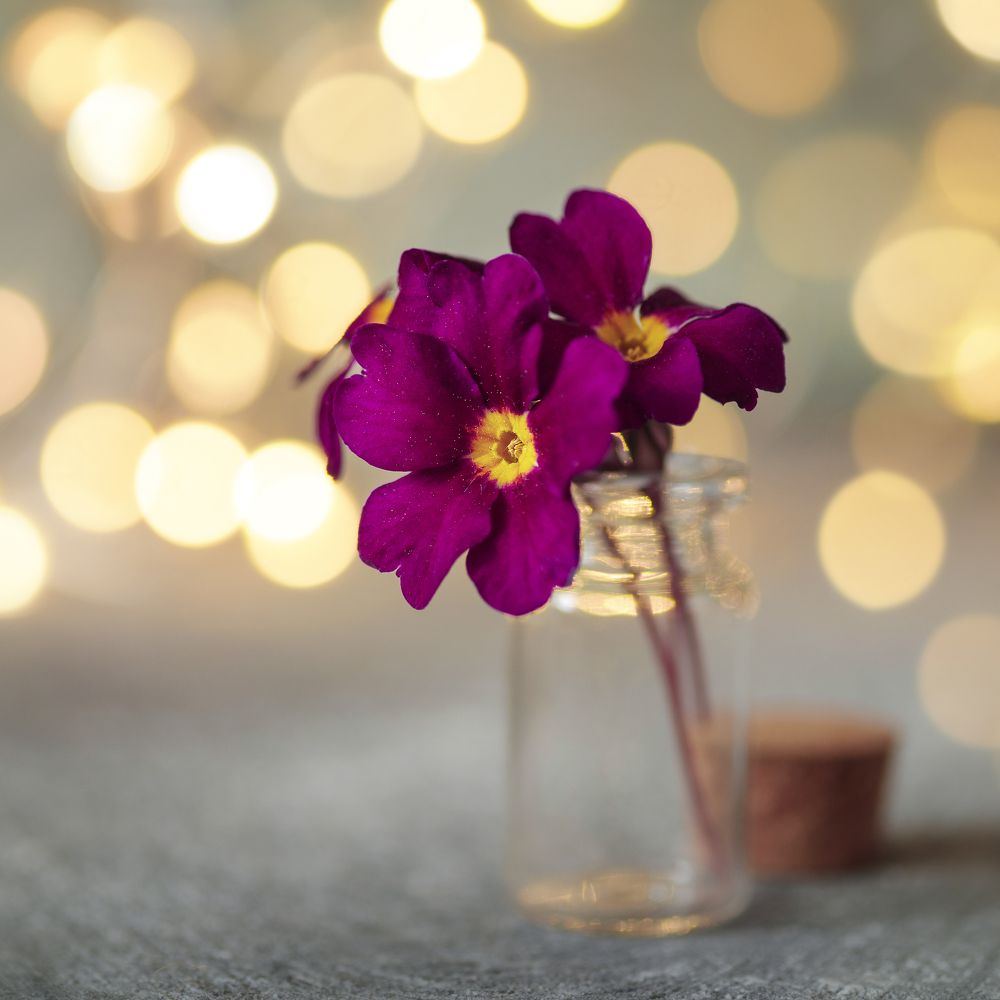 Photograph by Анна Барсукова