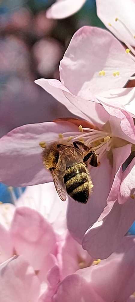 Photograph by Наталья Налобина