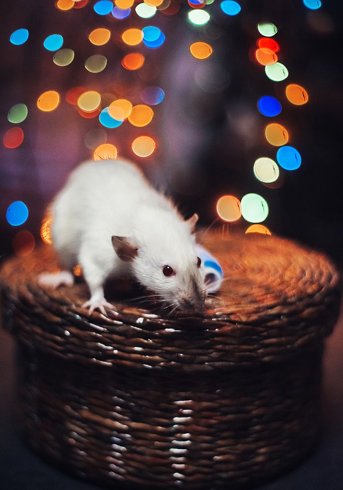 Photograph by Ольга Кузина