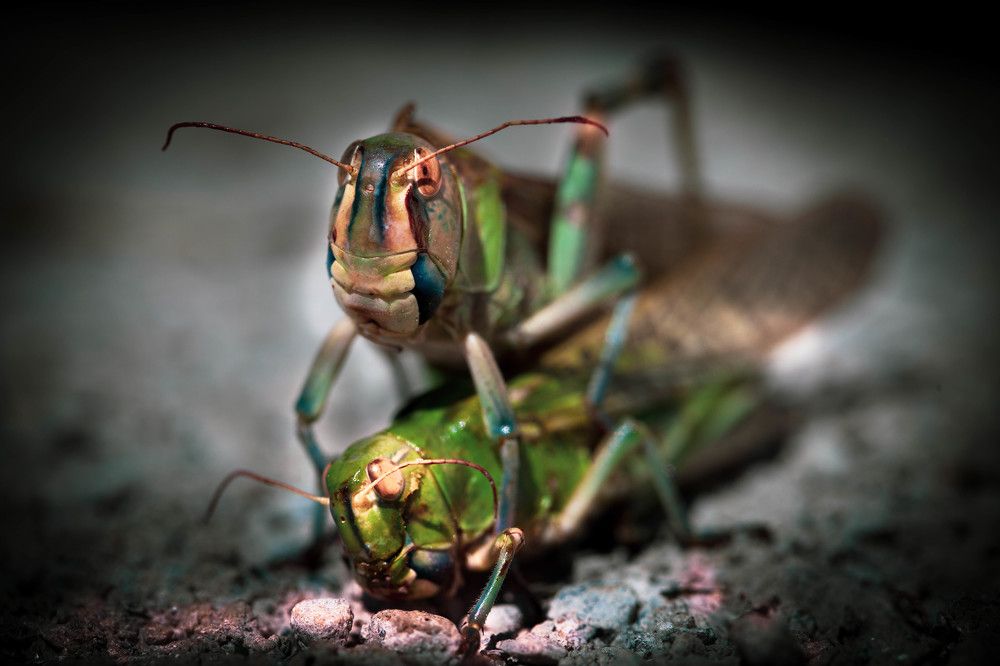 Photograph by Виктор Холодов