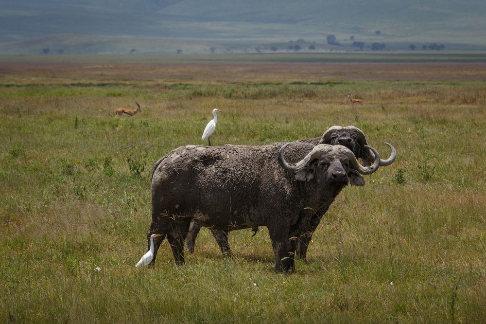 Photograph by Evgeny S