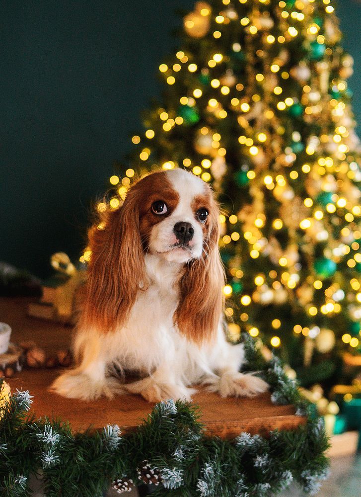 Photograph by Ольга Кузина