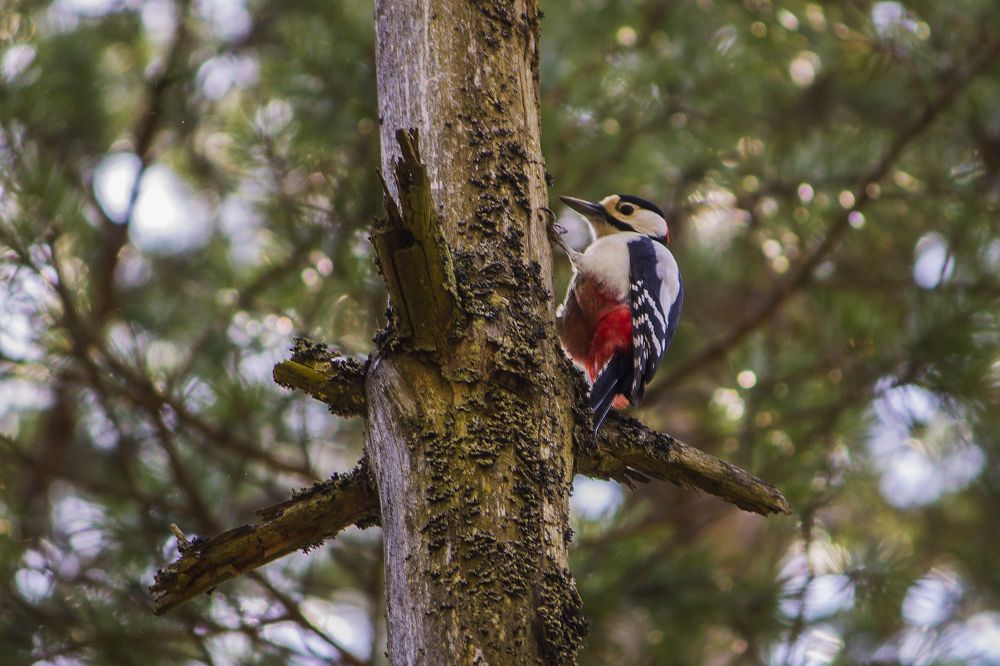 Photograph by Вячеслав Булатов