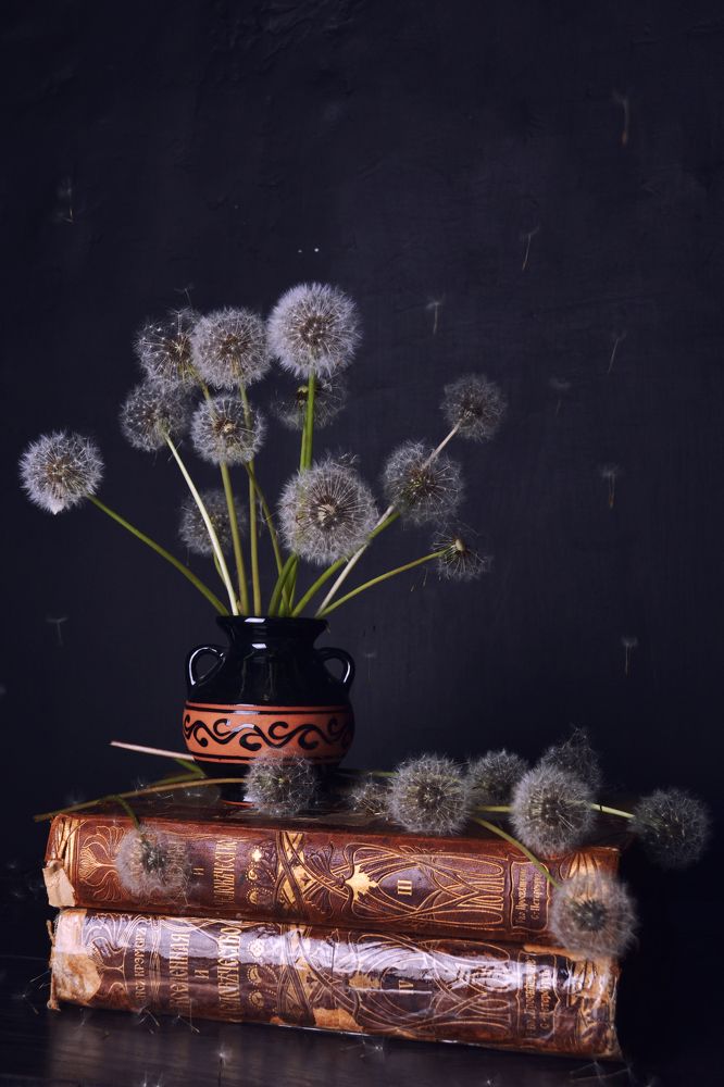 Photograph by Анна Милёшина