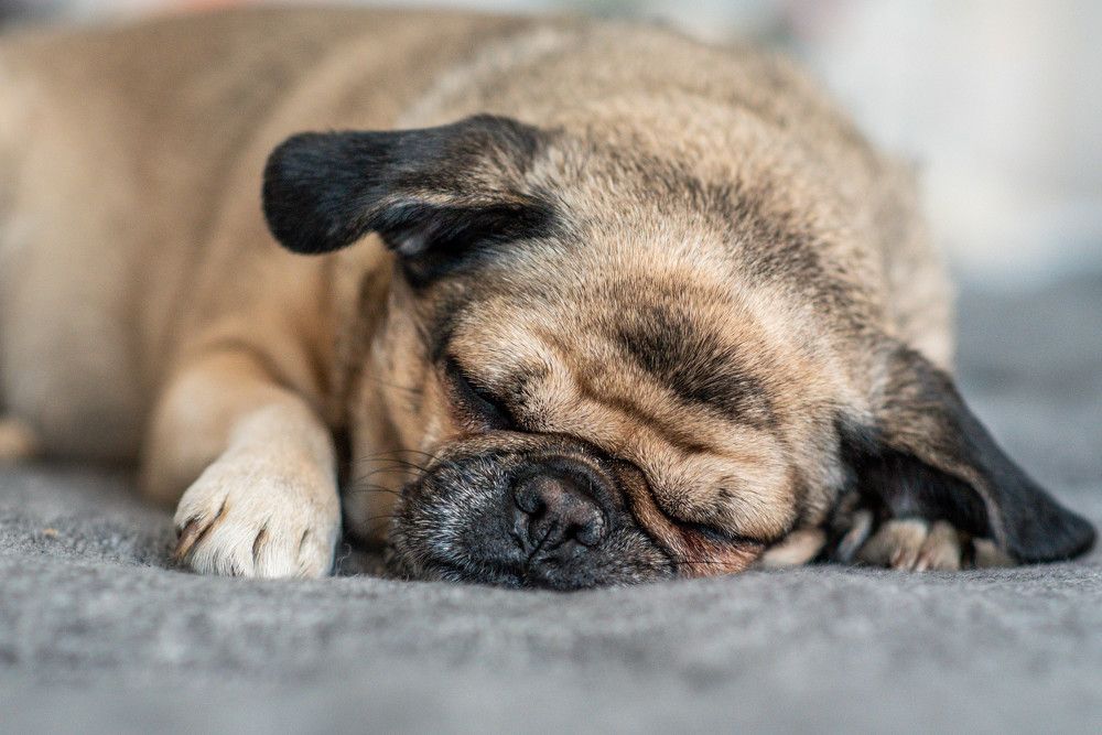 Photograph by Сергей Нагель-Синегубов