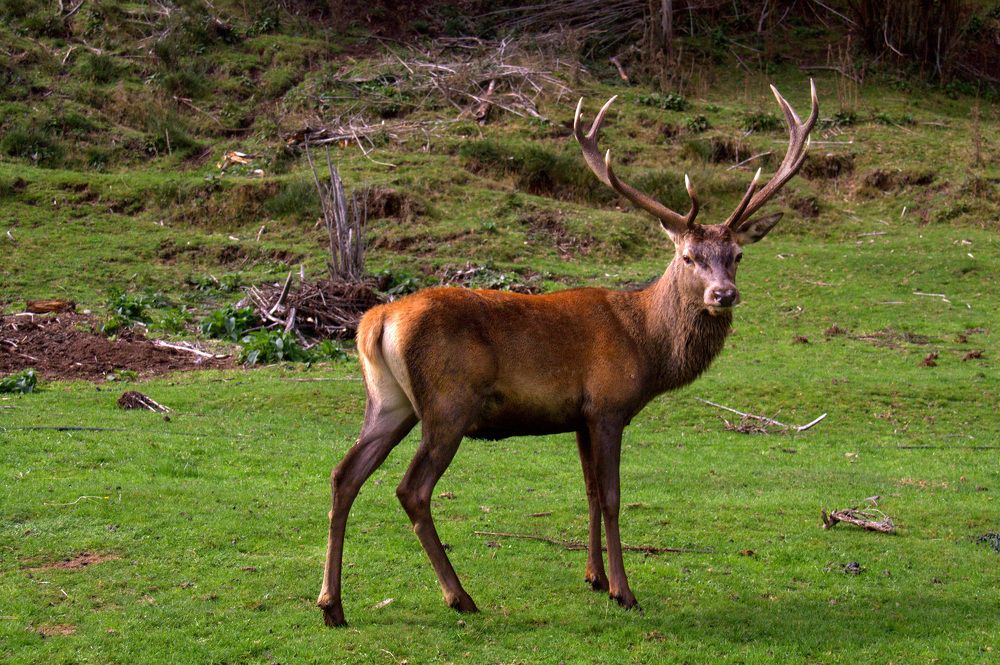 Photograph by Olinda Garcia Favre