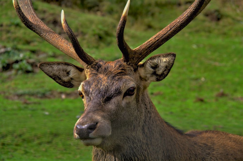 Photograph by Olinda Garcia Favre