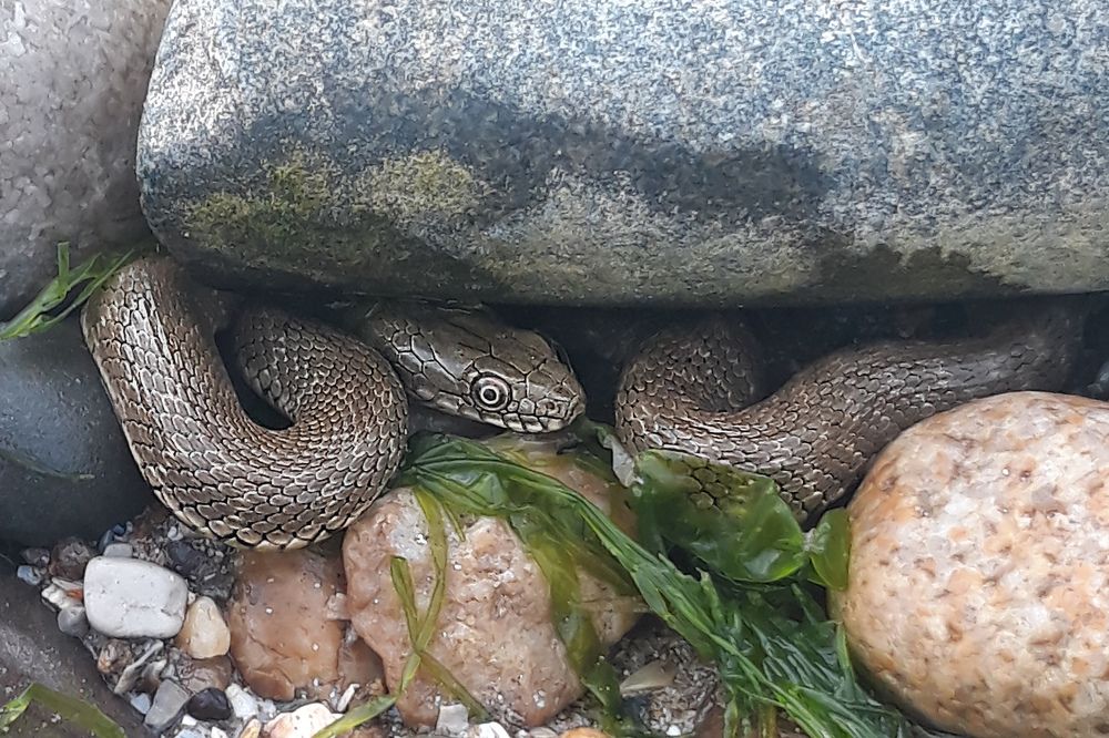 У... мешаешь отдыхать