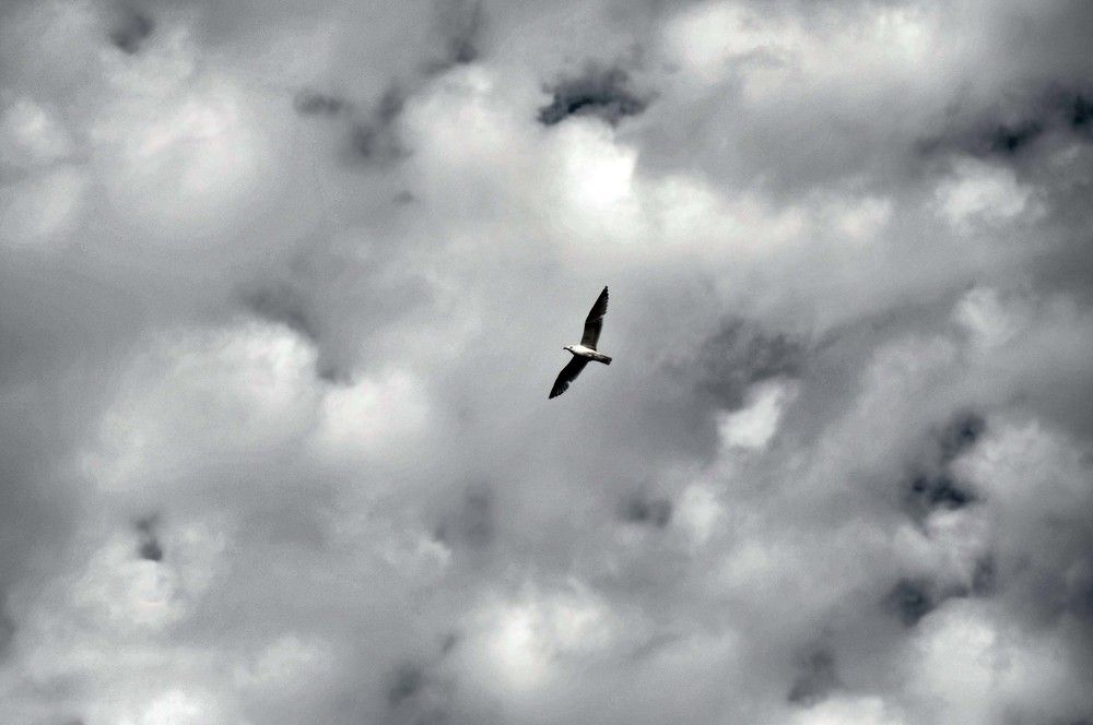 Photograph by Tunc Yagdi