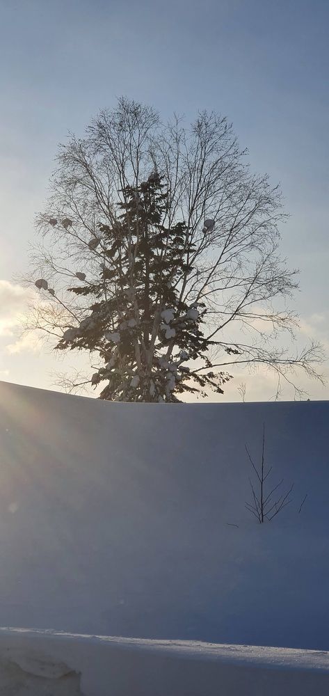 Photograph by Наталья Налобина
