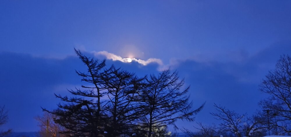 Photograph by Наталья Налобина