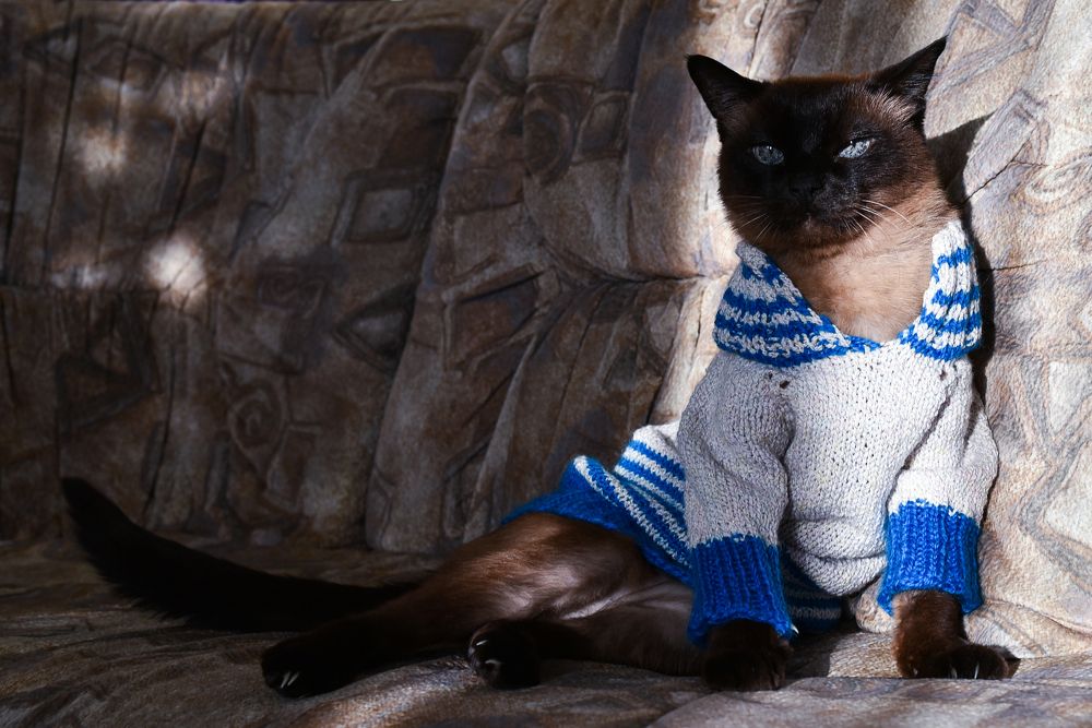 Фотография автора Варвара Сосновская