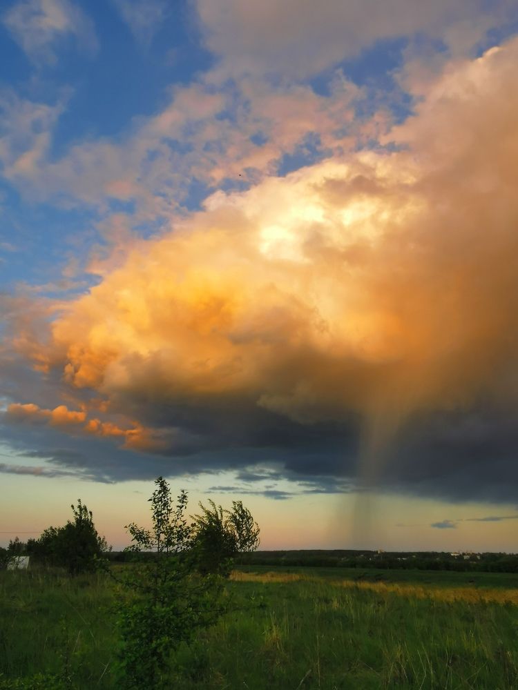 Приближение дождя