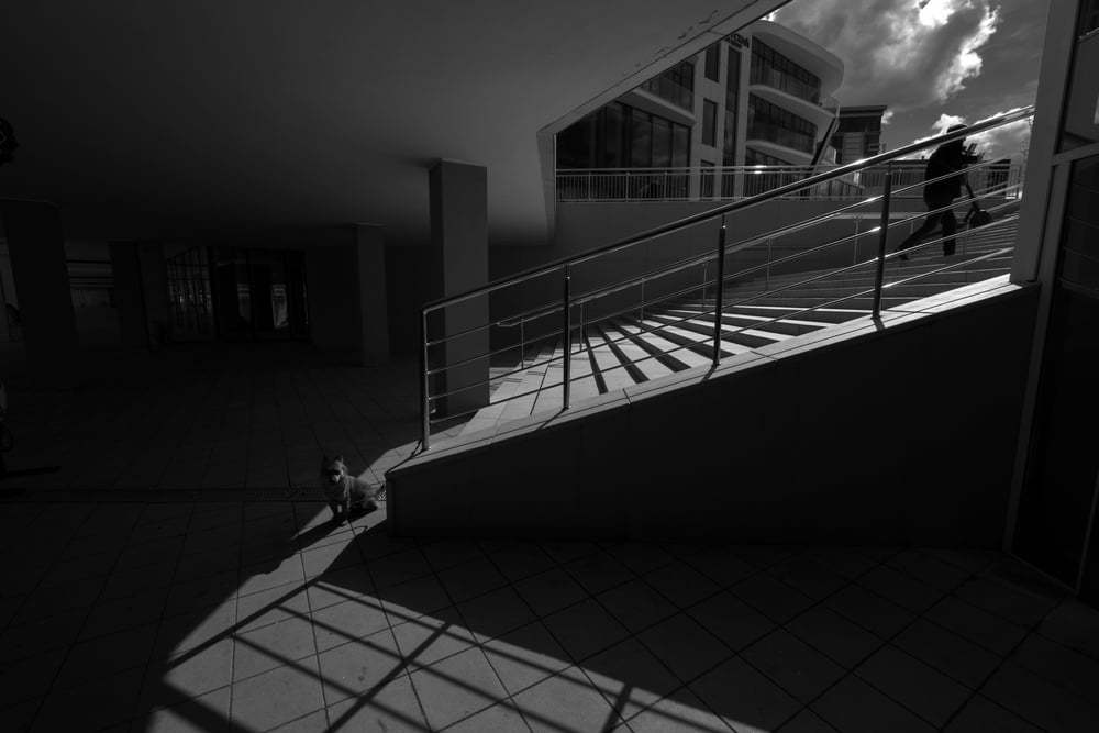 Фотография автора Владимир