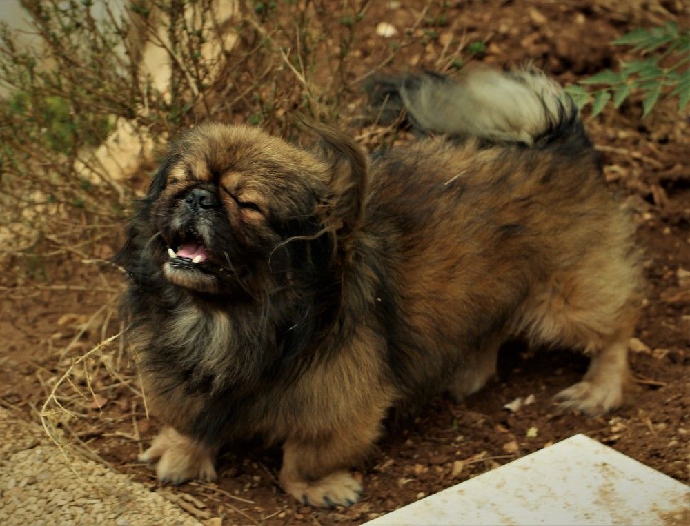 Photograph by Людмила Бутова