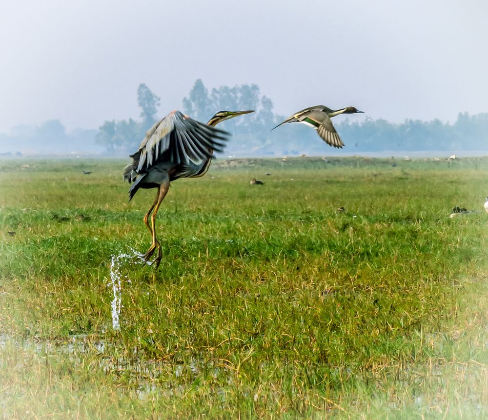 Photograph by Susmita Paul