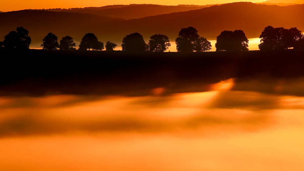 Фотография автора Flegner Calin