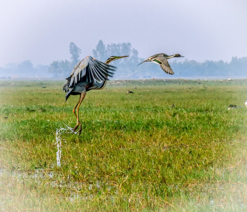 Photograph by Susmita Paul