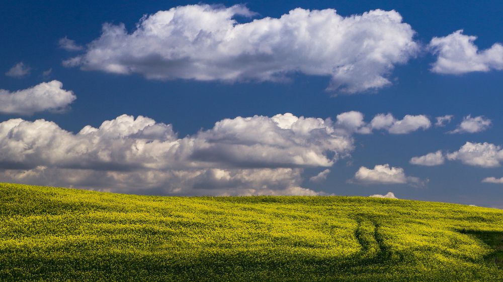 Фотография автора Flegner Calin