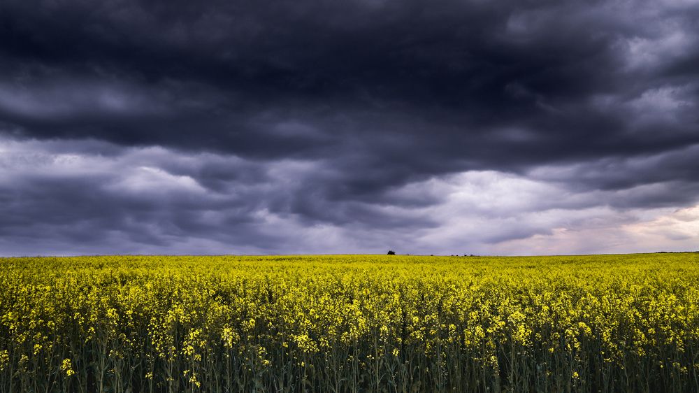 Фотография автора Flegner Calin