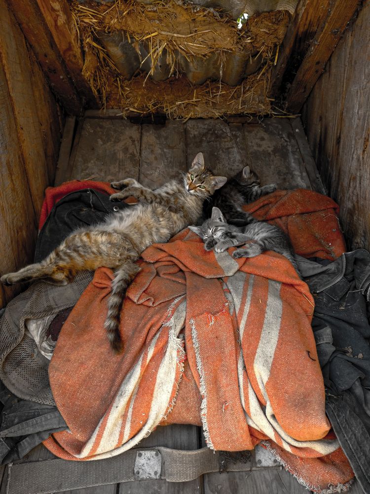 Photograph by Александр Федоренко