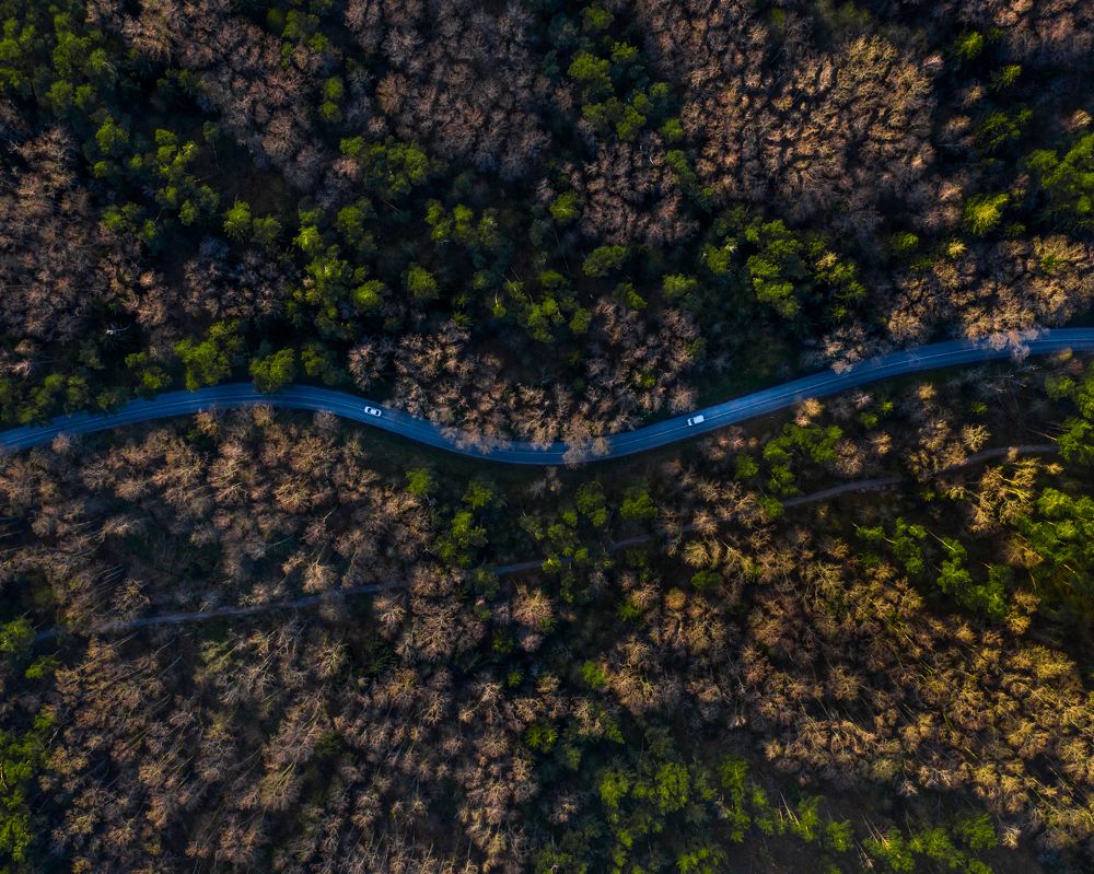 Photograph by Руслан Кабиров