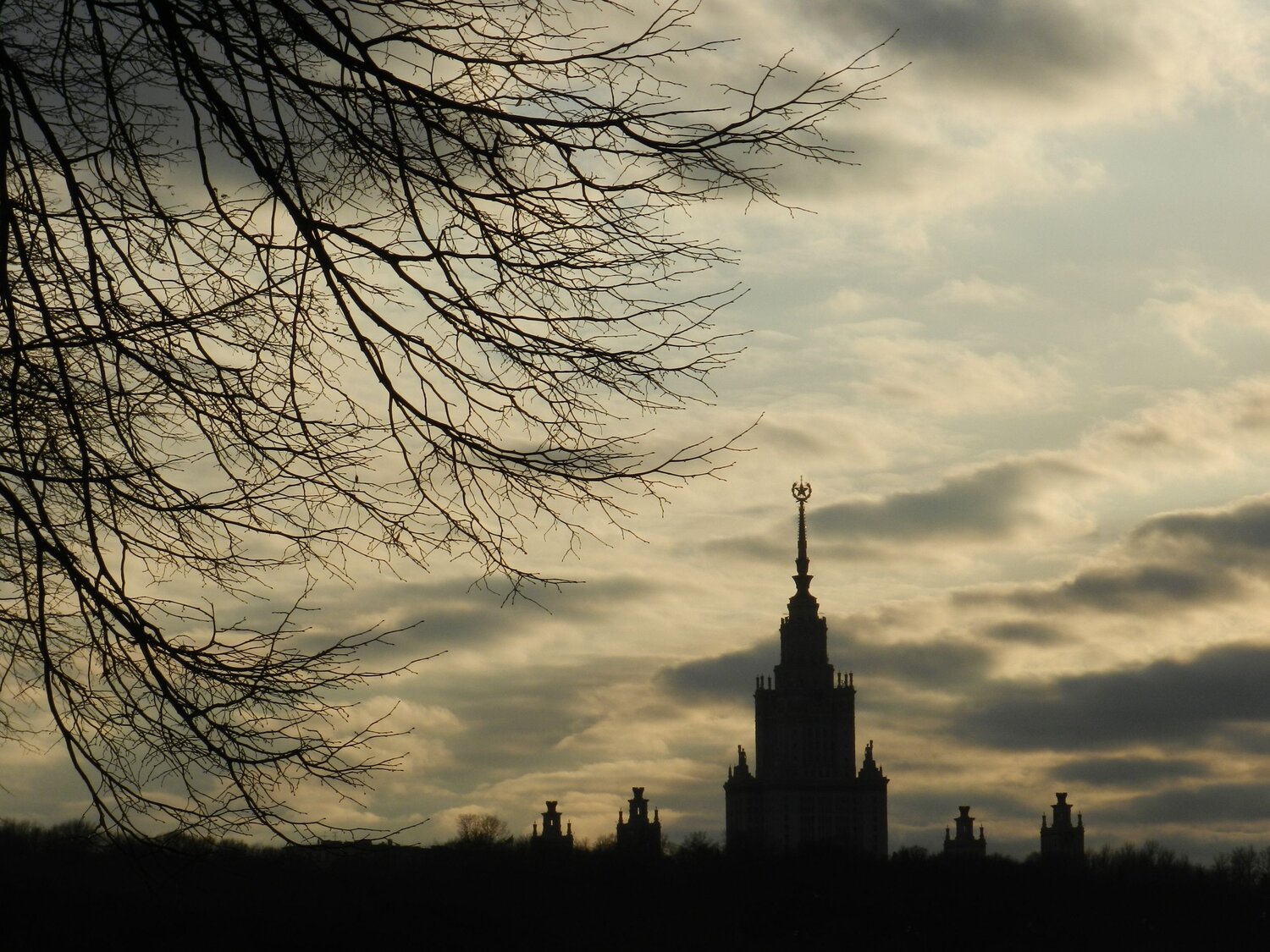 Photo #6121092