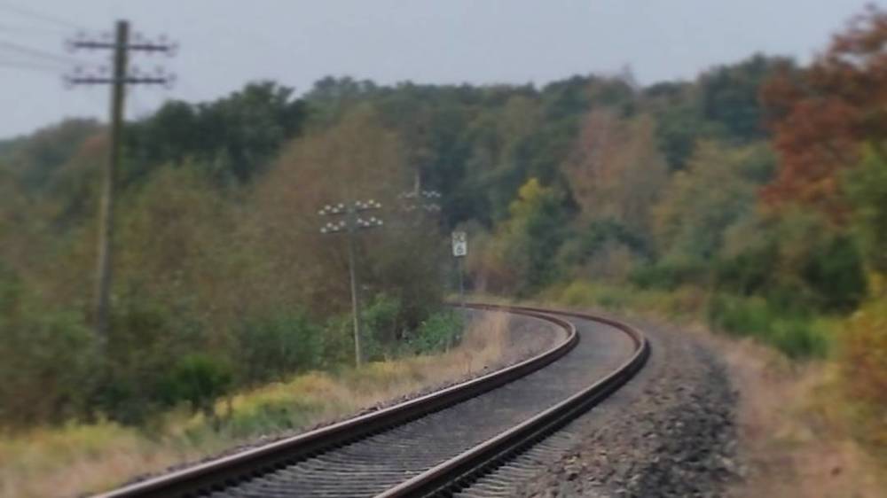 Всего понемногу