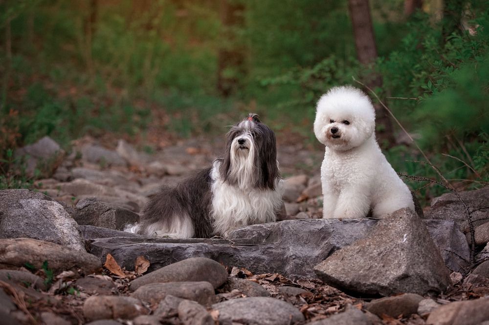 Photograph by СВЕТЛАНА ГРАЧЕВА