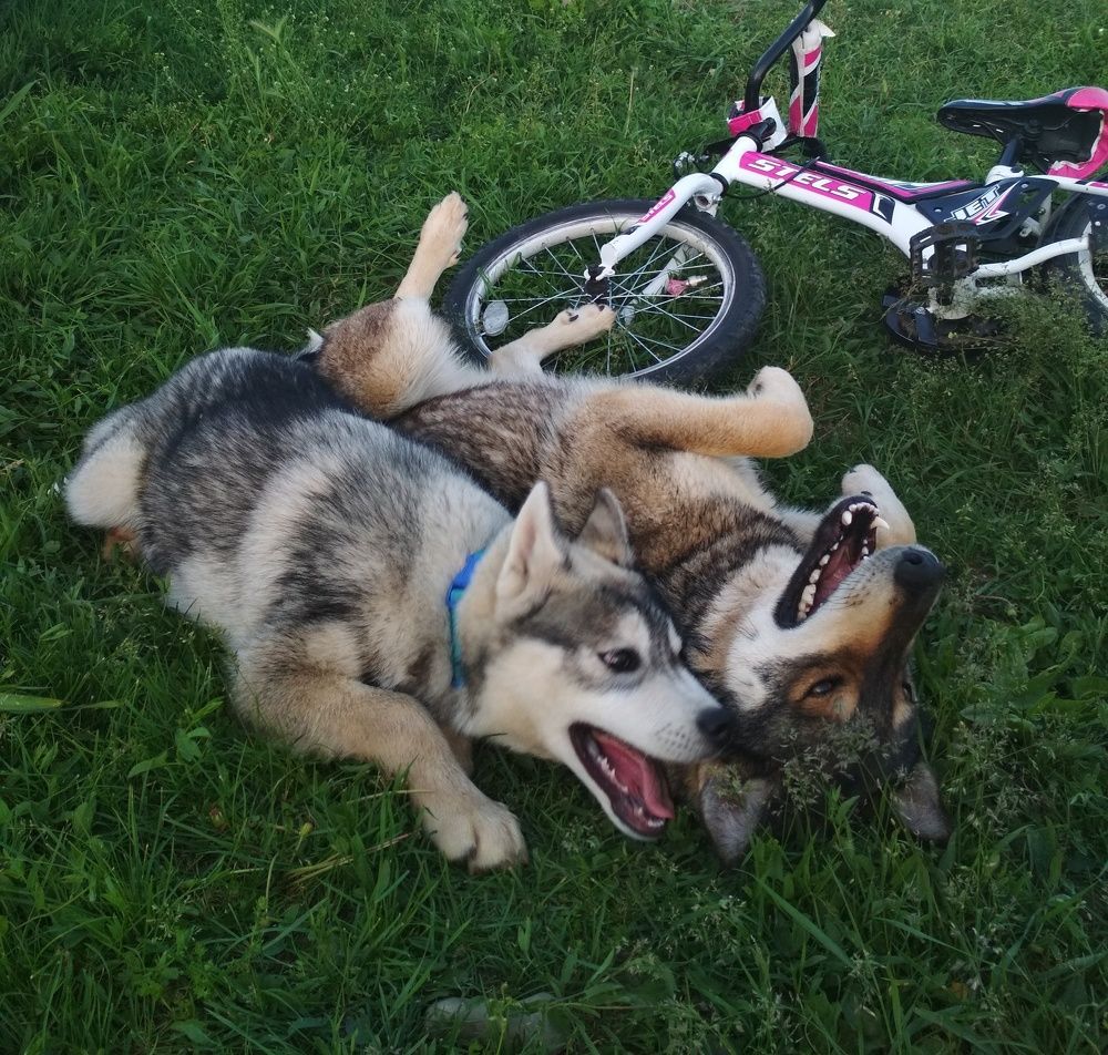 Photograph by Дарья Зотова