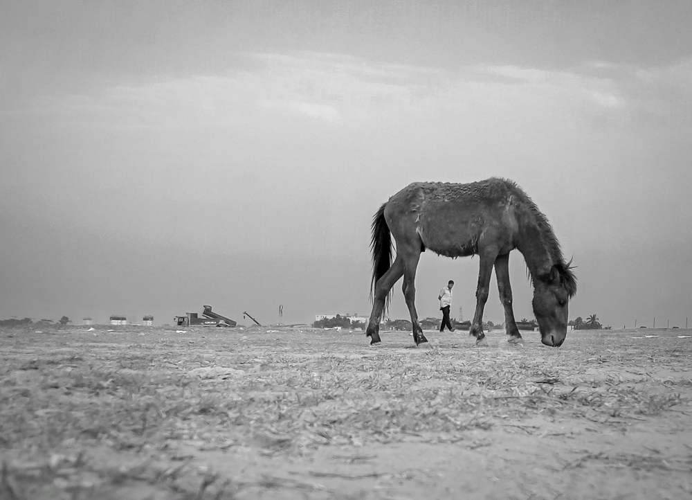 Photograph by Hasan Mehedi Amin