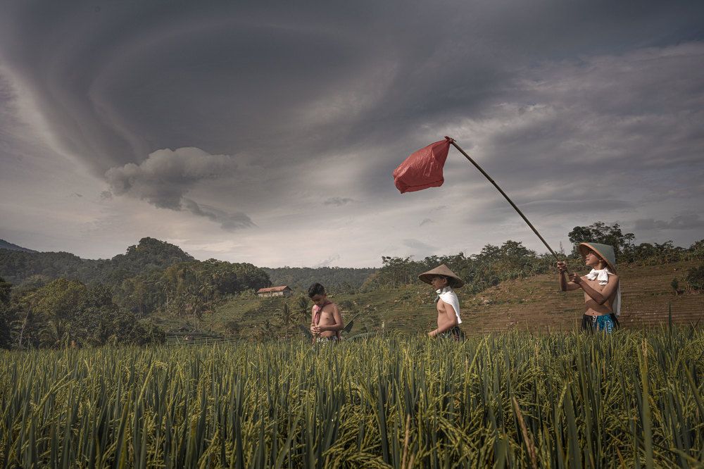 Photograph by Aysia Linggarwati