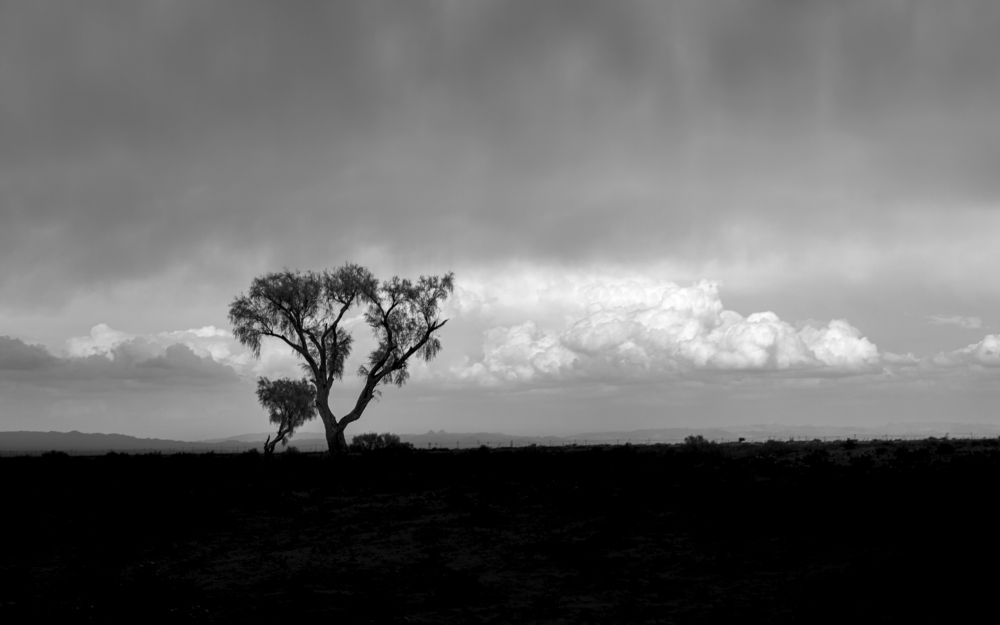 Фотография автора Morteza Sadeghi