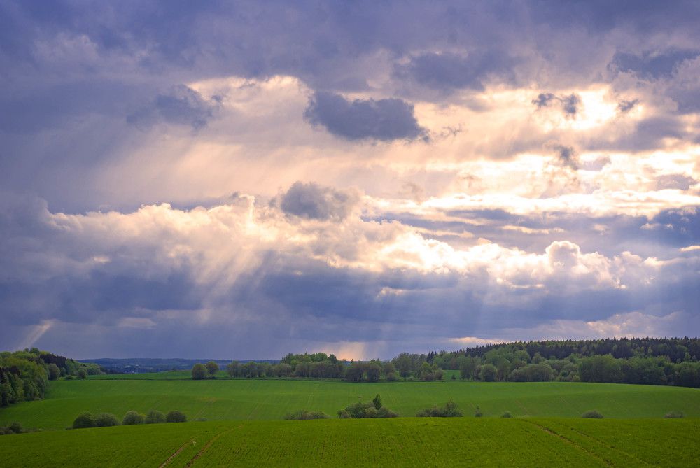 Photograph by Диана Бородзе