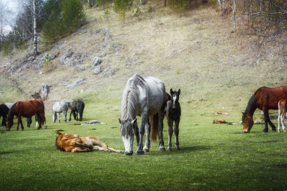Photograph by Елена Соколова