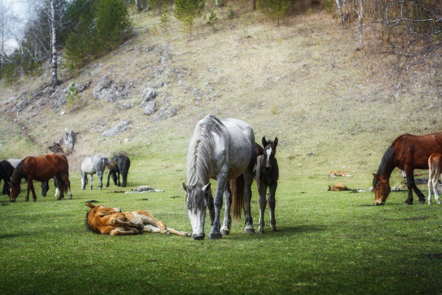 Фотография #6121380