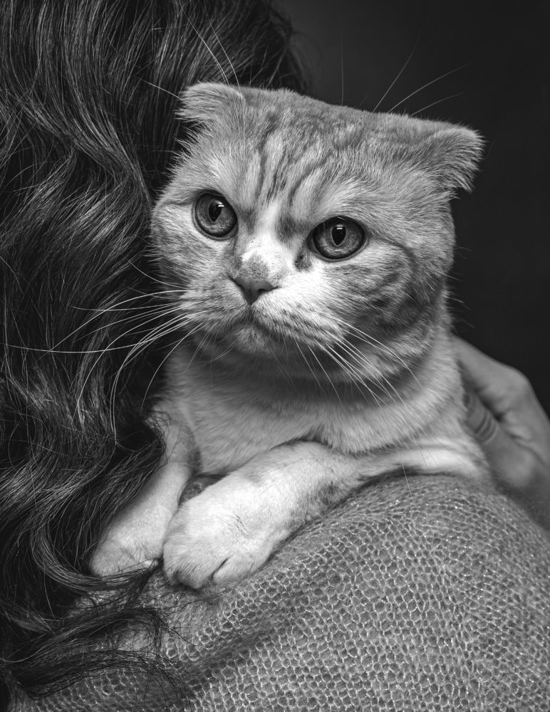 Фотография автора Татьяна Вишневская