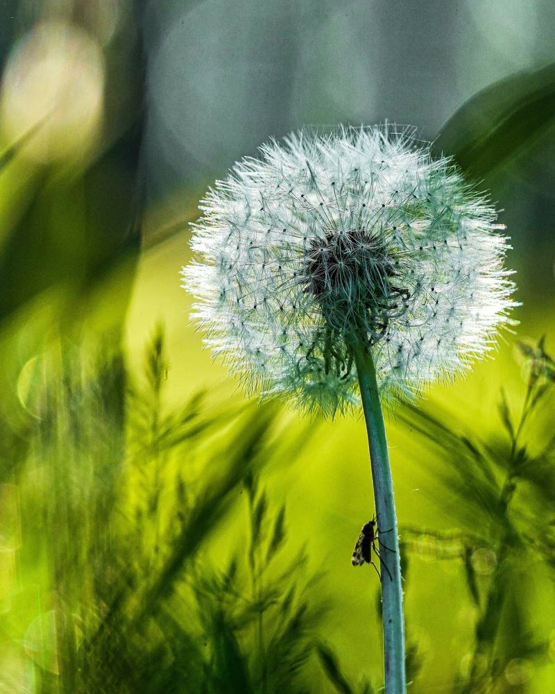 Photograph by Владимир Коновалов