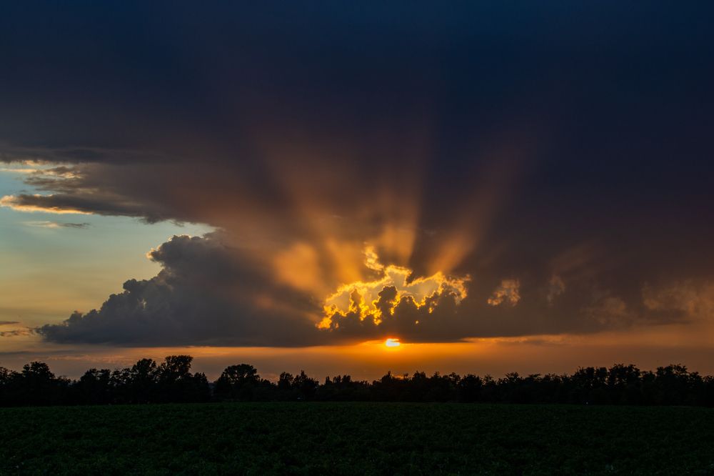 Photograph by Dino Sirica