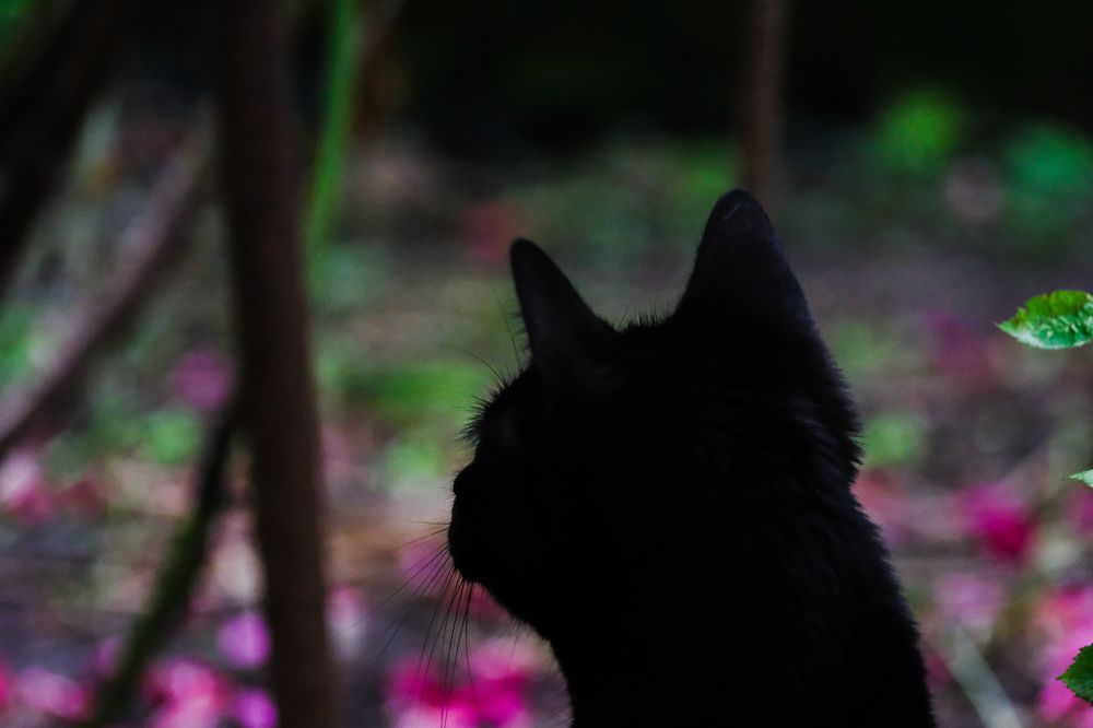 Фотография автора Александр Высоцкий