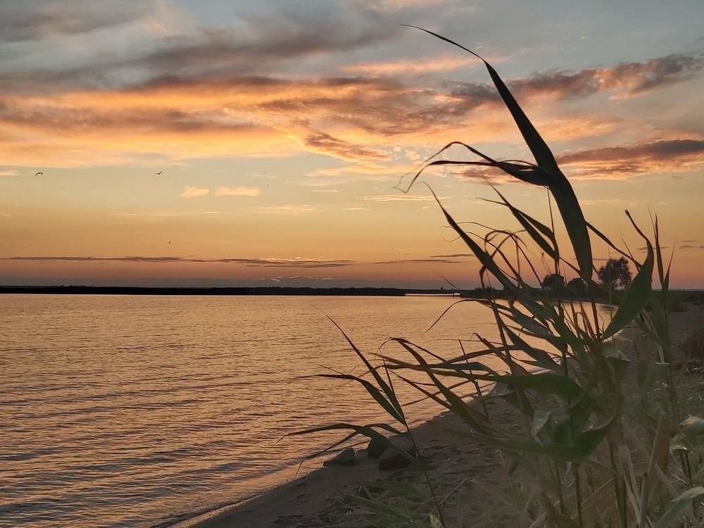 Photograph by Марина Савченко