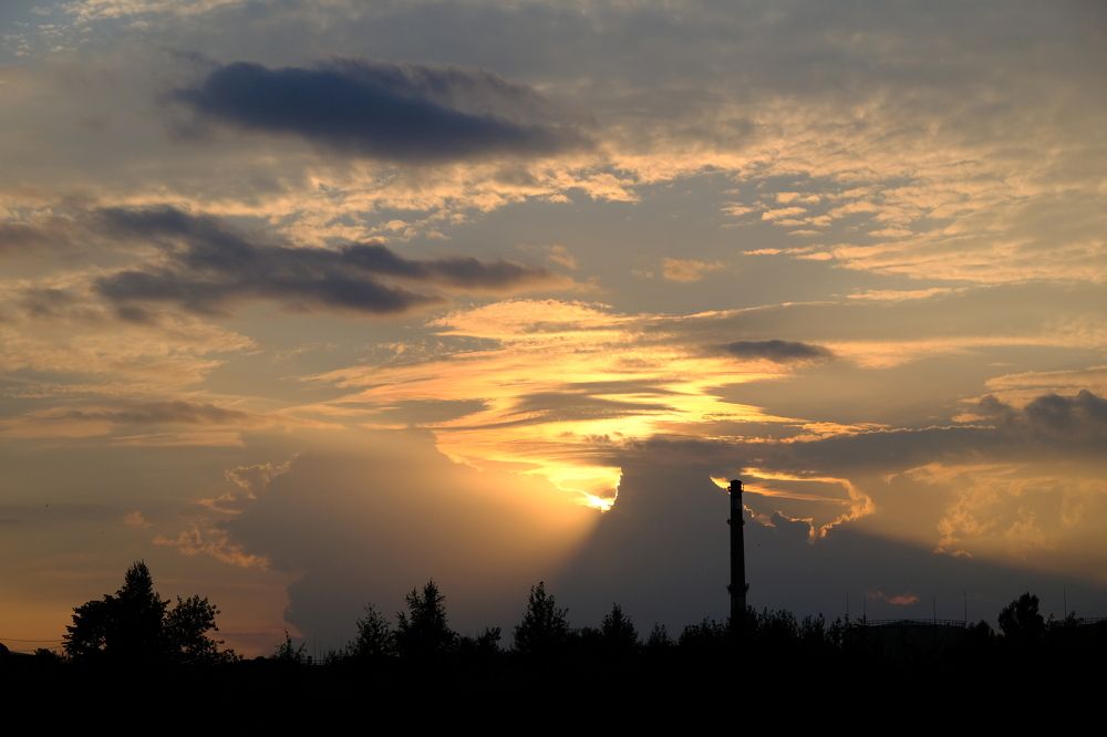 Фотография автора Александр Высоцкий