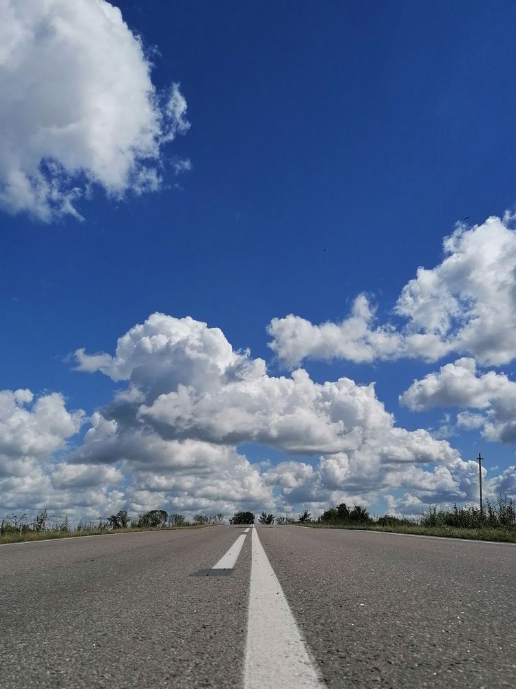 Фотография автора Александр Высоцкий