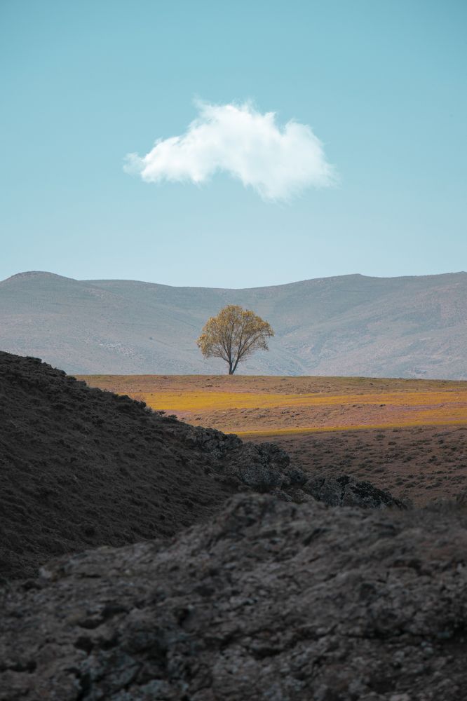 Alone on the ground.