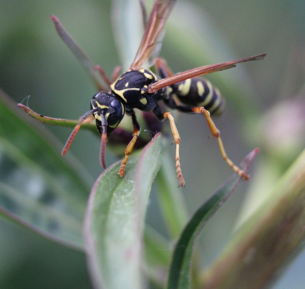 Photograph by Марина Ескова