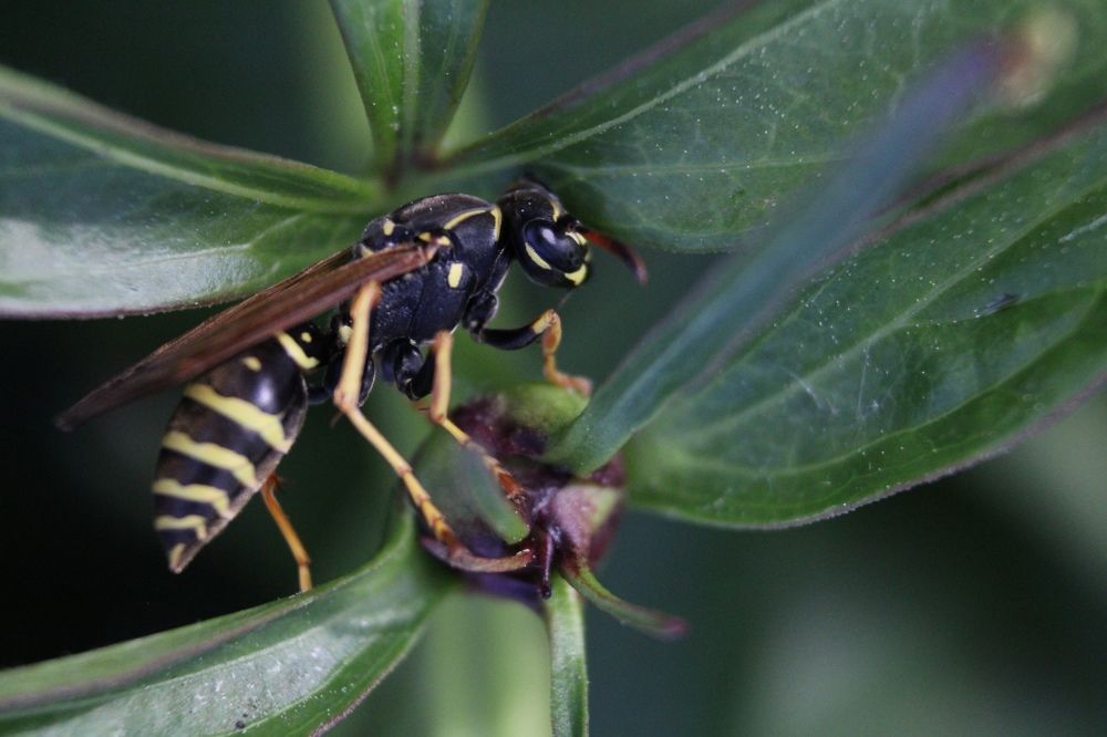 Photograph by Марина Ескова