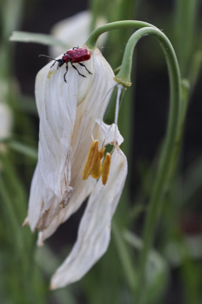 Photograph by Екатерина Бондаренко