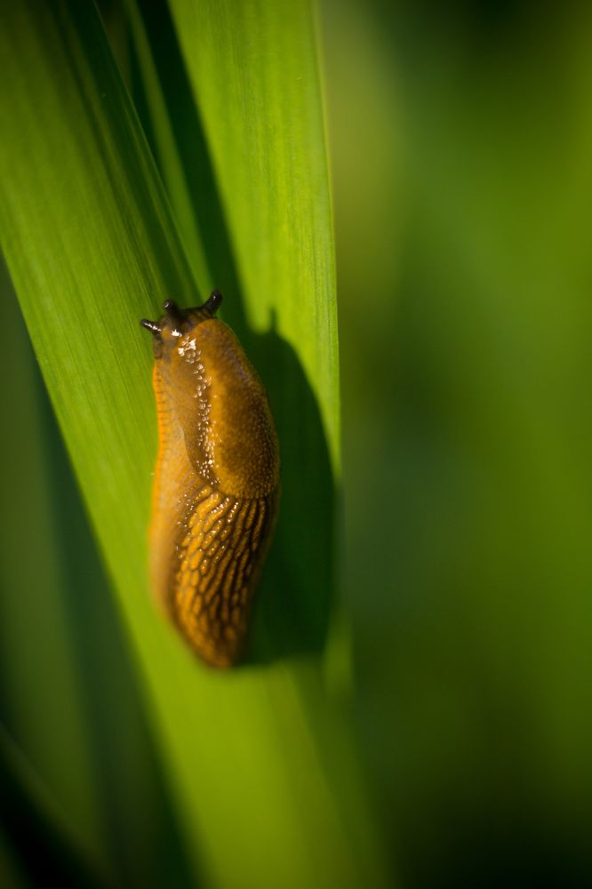 Photograph by Tatiana Kurilas