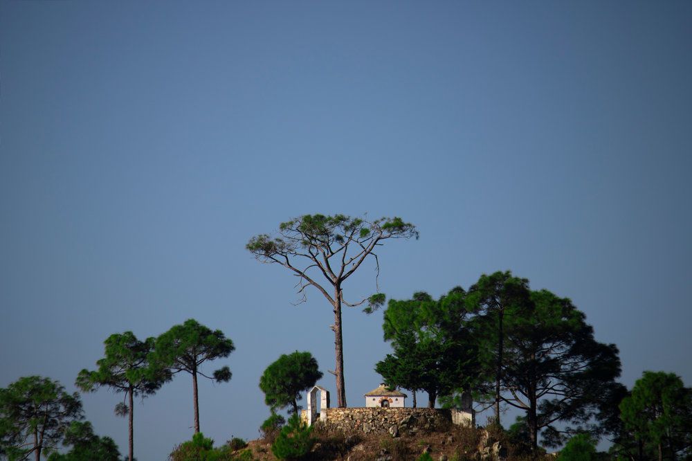 Фотография автора Mahesh singh bisht