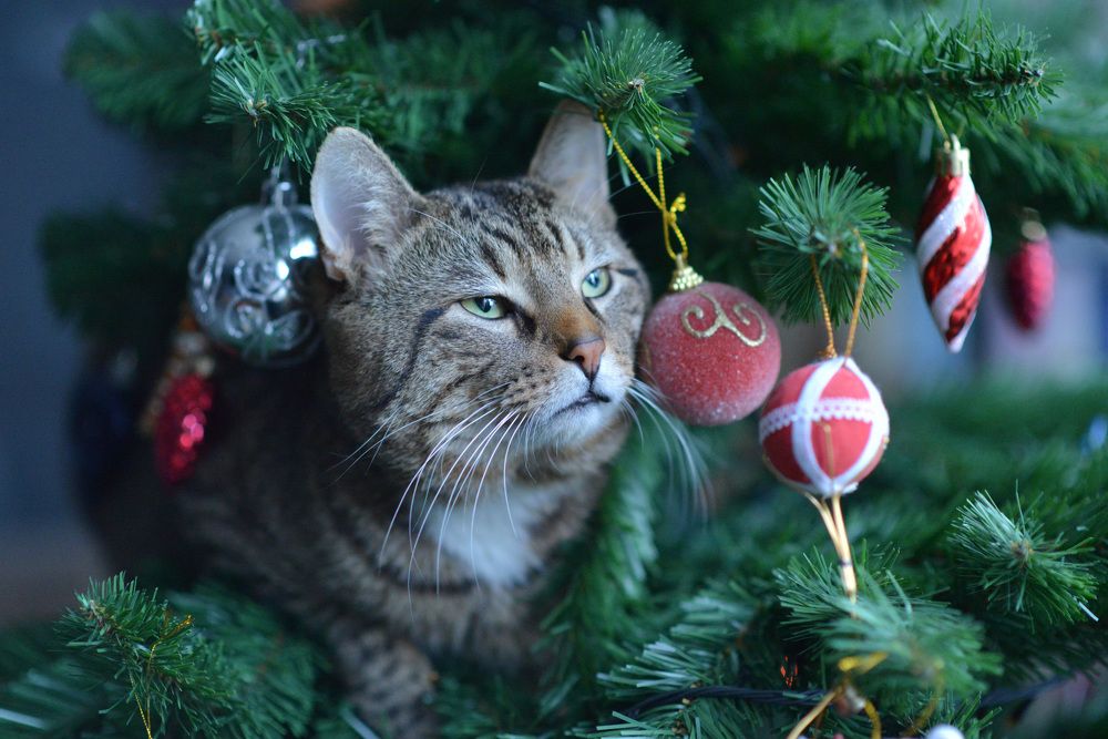 Photograph by Ольга Темкина